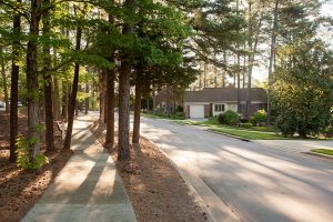 Tree-lined streets throughout the campus