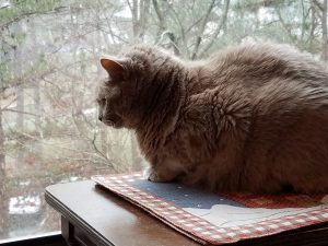 A sunny spot for Amirah