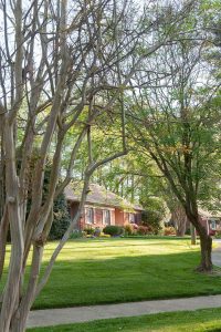 Springmoor's 42-acre campus is beautifully landscaped