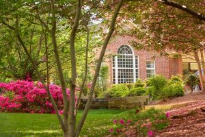 Azaleas and Crepe Myrtles can be found along every sidewalk on campus
