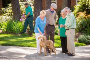 Walking paths can be found in every corner of our 42-acre campus