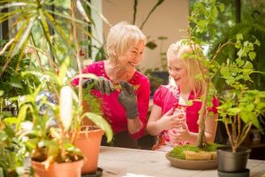 The Springmoor Greenhouse is a wonderful place to teach your grandchildren a few gardening tips
