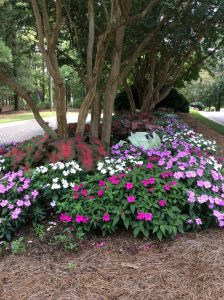 Color can be found throughout the campus