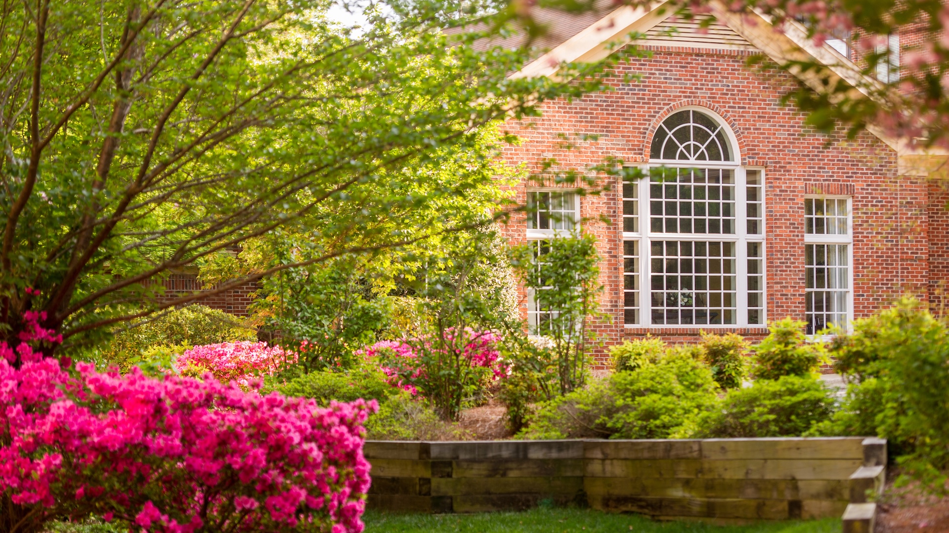 A red brick building with a large arched window behind a lush garden of bright pink azaleas and green trees.