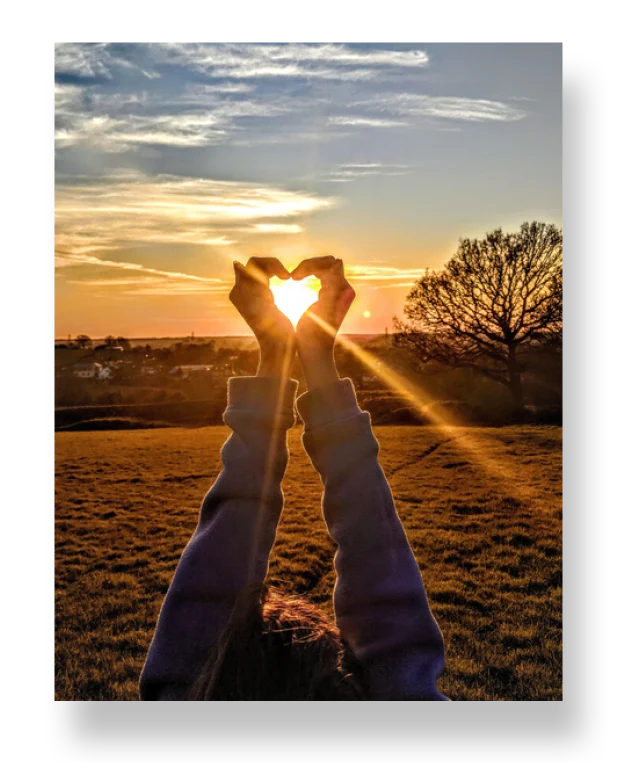 springmoor retirement community raleigh nc